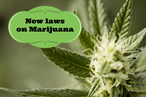 New laws on Marijuana